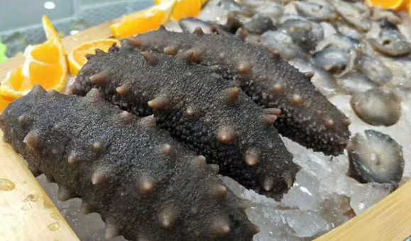 干海參禮盒多少錢？