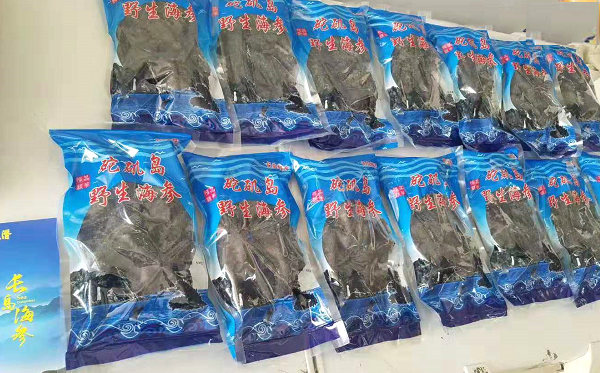 砣磯島海參