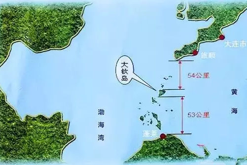 大欽島真正的野生海參產(chǎn)地